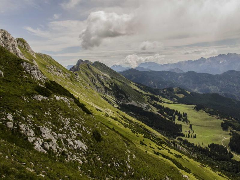 味蕾觉醒<br>lyd4nhjn.cn 分子料理实验